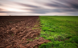 Rolul porozității în îmbunătățirea fertilității solului