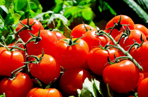 Programul Tomata 2023 - cu 20% mai multe cereri decât anul trecut