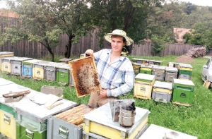 Cum putem proteja albina noastră românească. Puncte de vedere (IV)