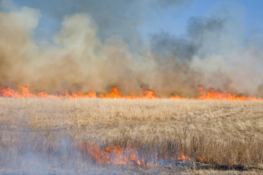 APIA: Este interzisă arderea miriştilor şi a resturilor vegetale pe terenul arabil