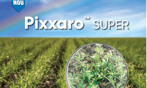 Pixxaro™ Super, inovația cu cel mai larg spectru de buruieni dicotiledonate anuale și perene combătute din cultura de cereale păioase
