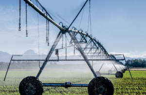 Vești bune pentru fermieri: MADR alocă 1,5 miliarde de euro pentru infrastructura de irigații, desecare și drenaj