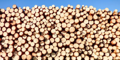 Asociațiile din industria lemnului: SUMAL 2.0 amplifică exponențial costurile pentru întregul sector