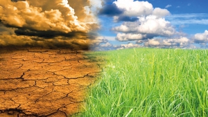 Agricultura poate încetini ritmul schimbărilor climatice