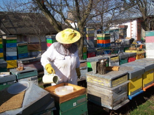 Peste 109 milioane de euro fonduri europene nerambursabile pentru apicultori prin AFIR