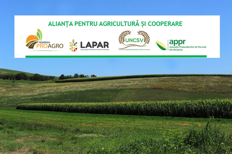 Soluțiile propuse de Alianța pentru Agricultură și Cooperare cu privire la acordarea despăgubirilor fermierilor calamitați de seceta severă din 2020