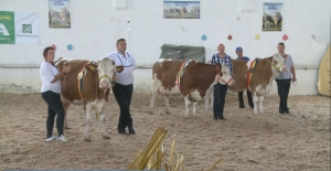 Ziua Națională a Bălțatei - Sărbătoarea vacii și a fermierilor