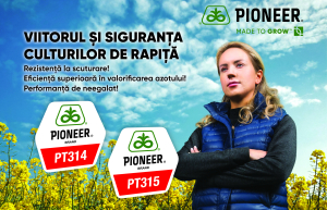 Genetica Pioneer® și produsele pentru protecția culturilor de rapiță, cheia spre producții ridicate