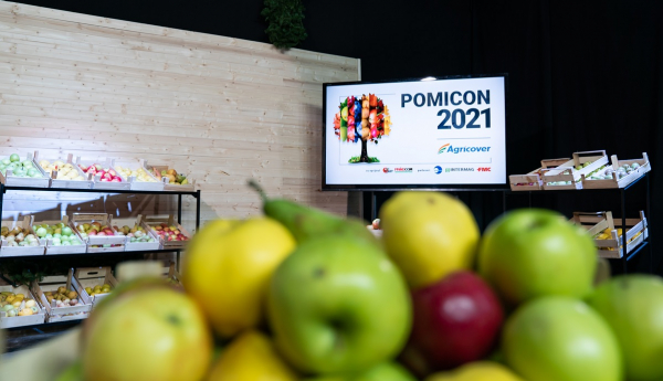 Conferința POMICON 2021  prezintă noutățile pentru sectorul pomicol