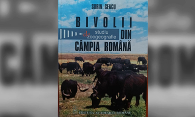 Bivolii din Câmpia Română - studiu de zoogeografie