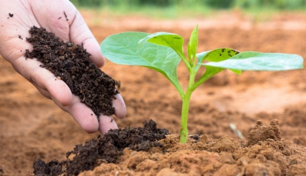 Ministerul Mediului Apelor și Pădurilor pregătește reducerea poluării cu nitrați