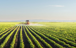 AFIR a publicat Ghidul solicitantului pentru Submăsura 4.1 – Investiții în exploatații agricole
