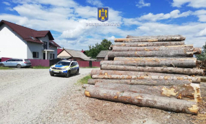 În judeţul Suceava se fură o căruţă de lemne la 100 ha de pădure