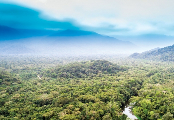 Apocalipsa amazoniană  - 76.000 de focuri au mistuit pădurea tropicală