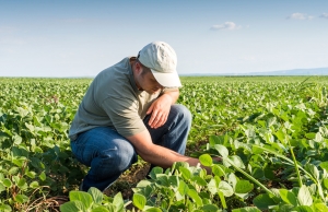 Resursa umană - cel mai important input pentru agricultură