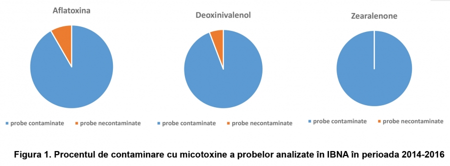 Contaminarea cu micotoxine, o problemă mereu în actualitate