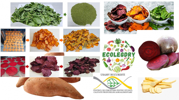 Proiectul EcoLegDry, soluții pentru obținerea unor produse inovative sănătoase