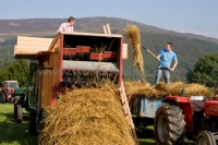 România a cerut în consiliul AGRIFISH acordarea unor stimulente suplimentare pentru atragerea tinerilor în agricultură
