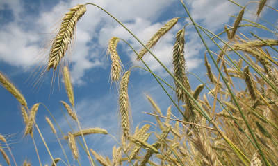 Acordul internațional privind exportul de cereale din Ucraina