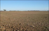 Agro-meteo: Limite apropiate de optim ale cantităţii de apă din solul agricol, în perioada următoare