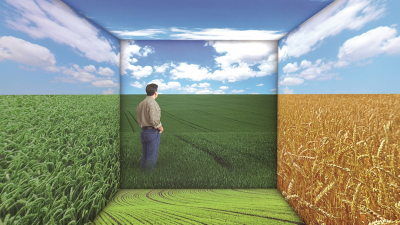 BASF lansează noi proiecte inovatoare pentru o agricultură durabilă