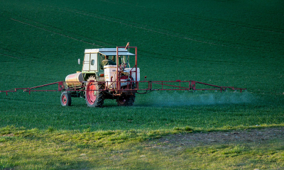Chimia, pesticidele dăunează biodiversității? (II)