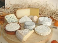 România a importat de cinci ori mai multă brânză decât a exportat, în primele opt luni