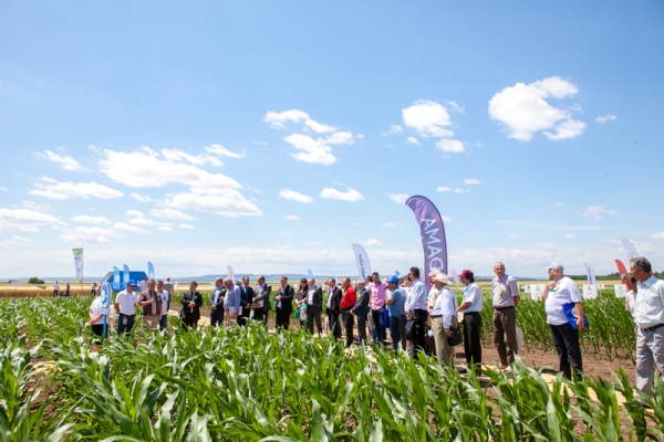 Ministrul Agriculturii, invitatul special al „Arenei Culturilor Vegetale”, eveniment organizat în acest an de ABplus Events pe 14 iulie, la Târgu Frumos
