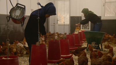Criza forței de muncă din agricultură. Un fermier din Bucovina și-a adus muncitori din Indonezia