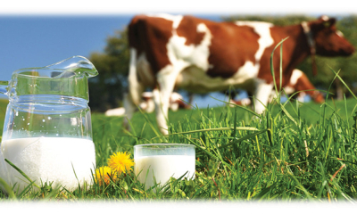 Influența diferitelor surse alimentare asupra compoziției laptelui